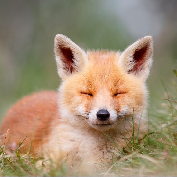 Meet the Posher Other - Meet your Posher, Mackenzie